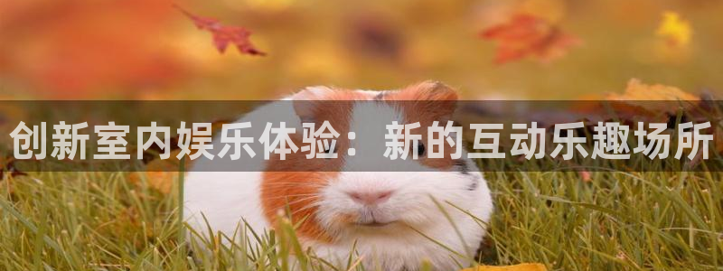 长征娱乐平台注册